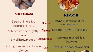 Surprisingly difference between Nutmeg and Mace #spiceworld #nutmeg #difference