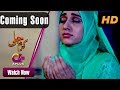 Watch Karam Jali​ Starting From 6th February - Tuesday at 8:00pm on Aplus | Pakistani Drama Online In HD