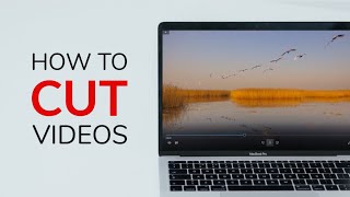 How to Cut, Trim, Video and Audio Files | Joyoshare Media Cutter screenshot 5