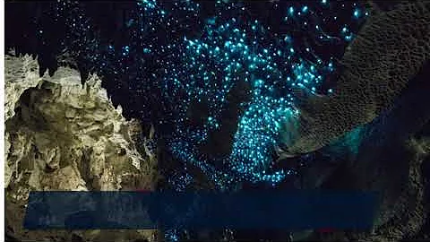 Glow Worm Caves of New Zealand in 360° ( Travel Video Guide )