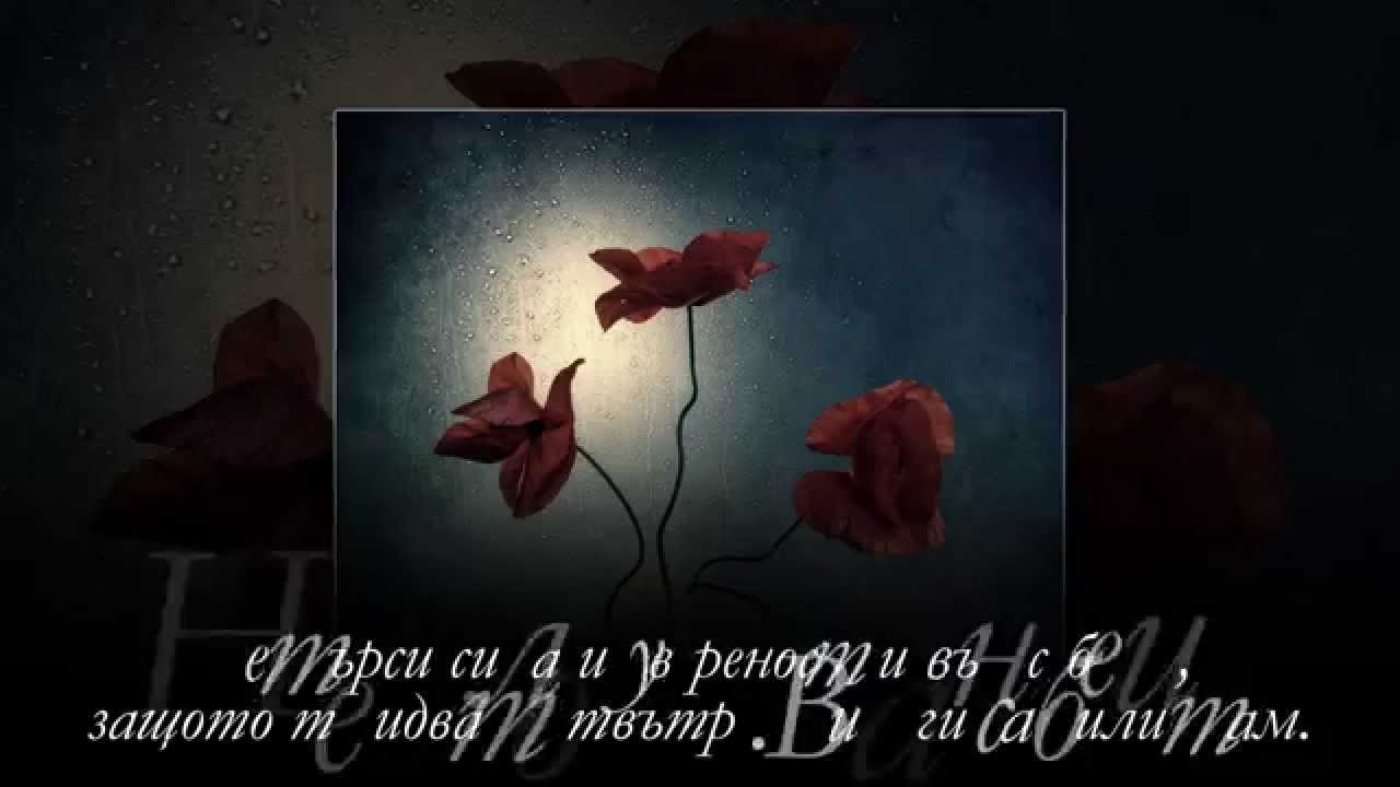 Dimitar Lazarov - Dim Photography...(E.n.i.g.m.a - 1996)