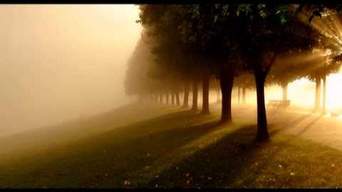 تلاوه رااائعة للشيخ ثامر الزير خصوصاً في آيه (فَأَنذَرْتُكُمْ نَارًا تَلَظَّى) لاتفوتك 24-5-1434هـ