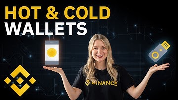The Differences Between Cold And Hot Wallets | Crypto Wallets Explained