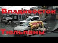 ТЮЛЬПАНЫ / ДОЖДЬ / НЕТ ДОРОГ / ВЛАДИВОСТОК /