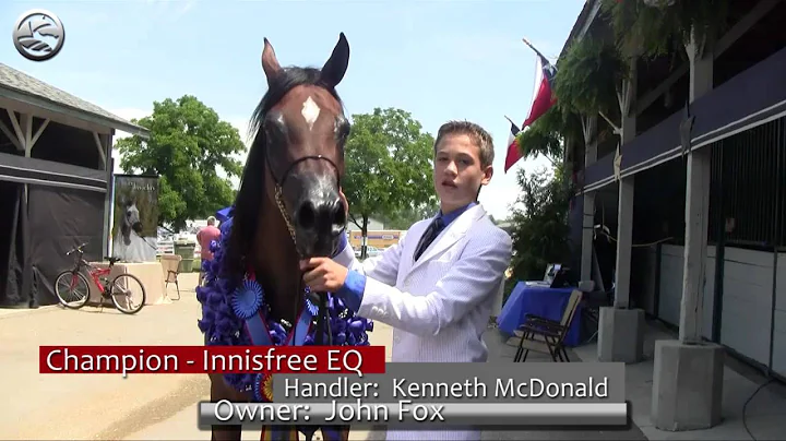 Egyptian Event Highlights 2012 - Kenneth McDonald ...