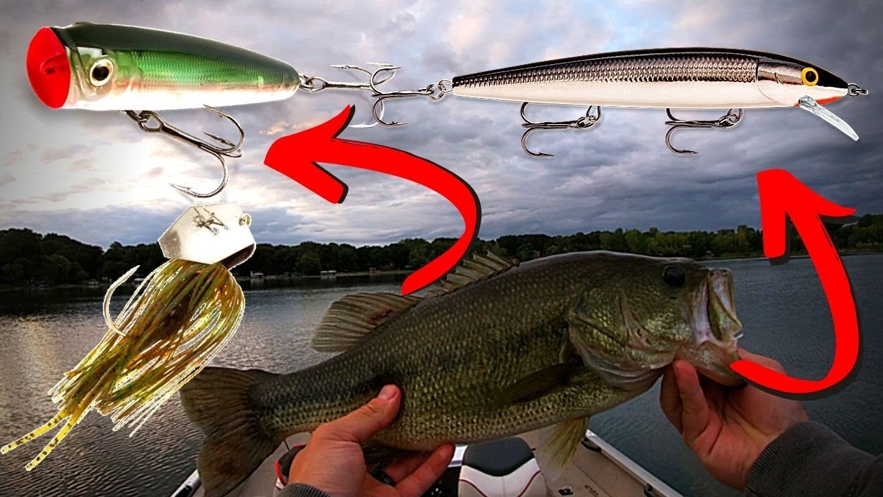 I've Never Caught Bass On These Baits