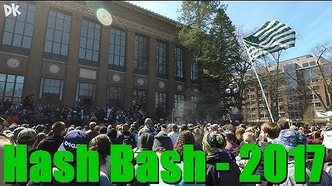 Hash Bash (2017) - Too Stoned!?