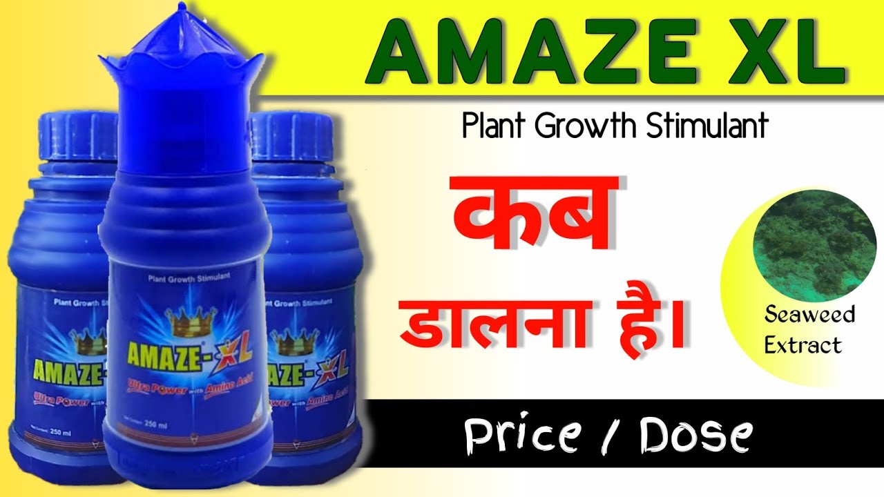 Amaze XL Amaze XL Plant Growth Stimulant Best Nutrient YouTube rosave-10mg-tablet-15-s-price-composition-generic-alternatives