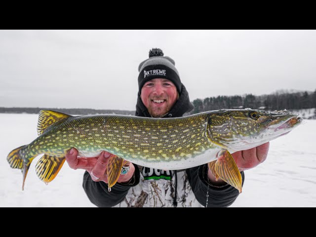 Ice Fishing PIKE with Tip Ups - How to Catch Pike Through Ice