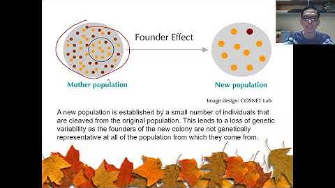 MECHANISMS OF EVOLUTION PART 2 BY SIR TONY STARK.