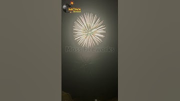 Fireworks Shells 6 Inch Display Shells New Year Fireworks