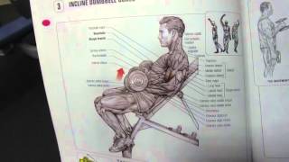 تمرينة البايسيبس من كتاب التشريح العضلي - جزء2 - Hity