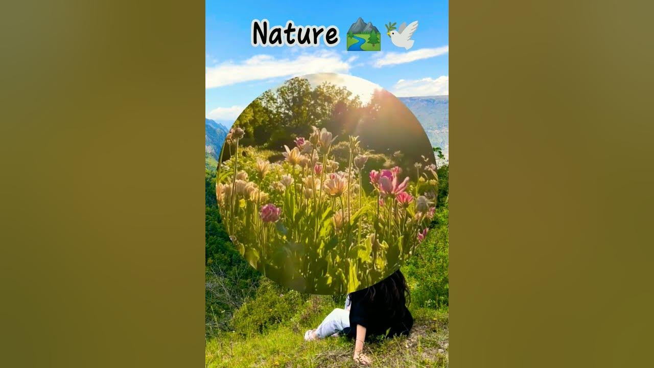 Nature lover 🥰🕊️✨ #mauntains #peace #trending #viral #naturelover  #ytshorts #song  #music #valley