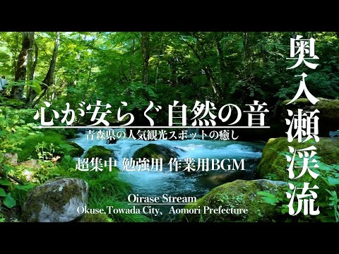 新緑の奥入瀬渓流【勉強用・作業用BGM】30分 超集中・記憶力アップ 渓流の音