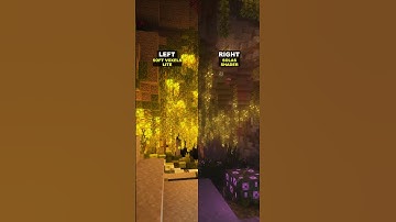 Minecraft shaders: Soft Voxels or Solas? 🌸 #shorts