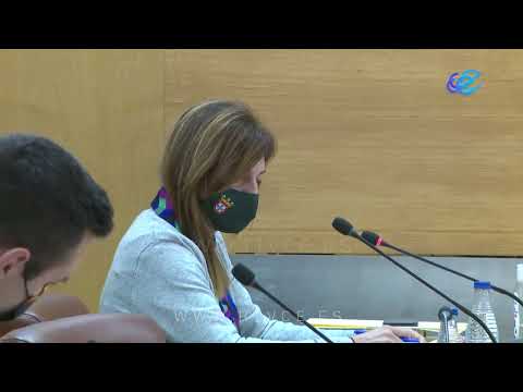 El Pleno aprueba otorgar cinco Medallas de Plata de la Ciudad en lugar de dos