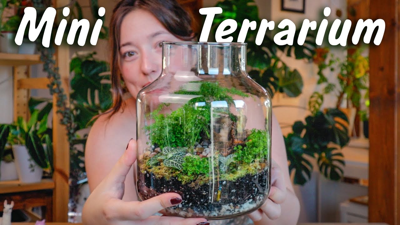 38 Best Plants For Terrariums