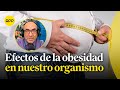 ¿Cuáles son los efectos de la obesidad en nuestro organismo?