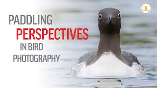 BIRD PHOTOGRAPHY ADVENTURE ON A KAYAK - A new perspective