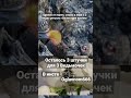 Брелок от порчи, сглаза и докучливых лярв.