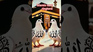 Islamic naat ringtone ya rabe mostofa tu mojhy #arabic #yaali #viralnaat#