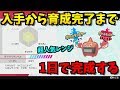 【入手から】すぐ有利対面へ!この動画を見ればランク戦で使える育成済みヒートロトムができます!【ポケモン剣盾/ポケモンソードシールド】