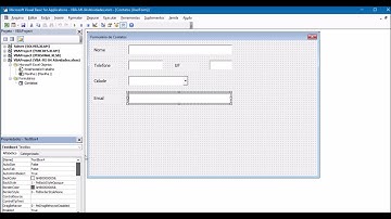 VBA 31 Ajustando propriedades dos campos no Userform VBA