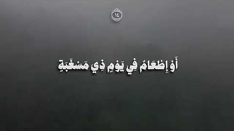 تلاوة عطرة من سورة البلد بصوت الشيخ محمد أحمد حسن