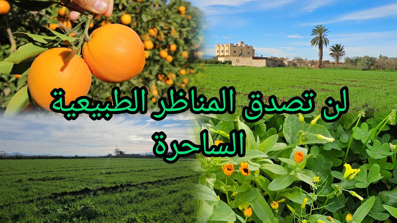 الطبيعة في أبهى حُلّة 🌱 مشاهد تبعث على الراحة والسكينة 🍊
