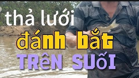 Thả lưới đánh bắt cá cuộc sống mưu sinh của nông dân quê hương tôi