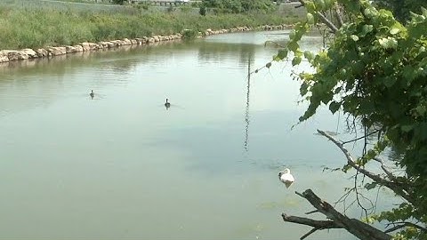 City of Hamilton to spend $200M to clean up Chedoke Creek