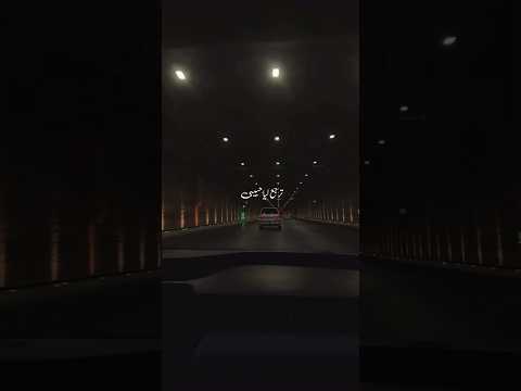 شفت كتير حواليا مشوفتش الا عينيك عمرو دياب أغلى من عمرى حالات واتس