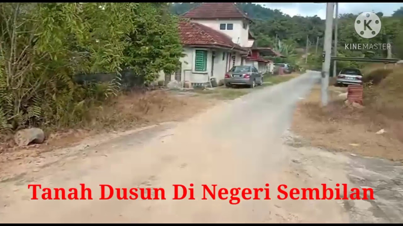 Tanah Dusun Untuk Dijual Youtube