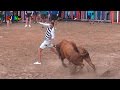 Vaquillas Enfundadas - Festa La Vila 2016 - La Vilavella (Castellon) Bous Al Carrer [Toros FJGNtv]