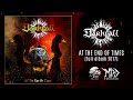 Darkfall  at the end of times full album visualizer