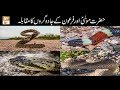 Watch Paigham e Quran - 20th August 2018 - ARY Qtv Online In HD