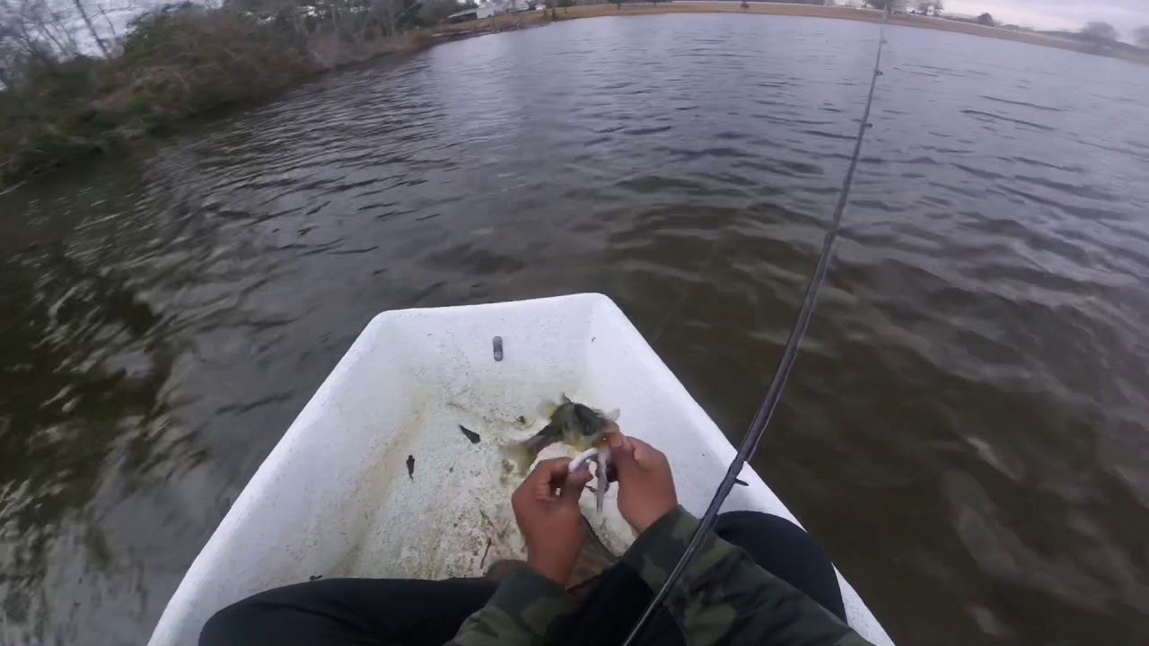 Fishing ULTRA clear Water For LARGEMOUTH bass (HE fell Out the BOAT)
