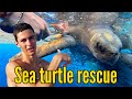 WOW! NOT ONE BUT TWO SEA TURTLES TRAPPED IN GHOST NET Sailing Indian Ocean