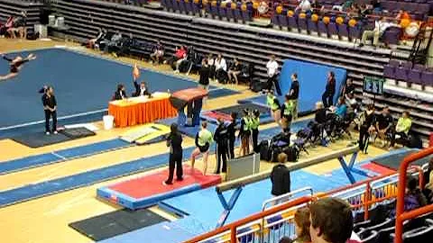Michelle Shealy Vault 2/6/10.MOV