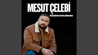 Bu İçkilerle Sarhoş Olmazdım