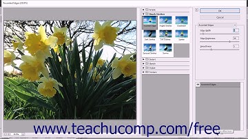Photoshop Elements 2018 Tutorial Filters & the Filter Gallery Adobe Training