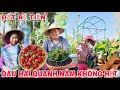 MUỐN DÂU TÂY NHIỀU TRÁI HÃY LÀM THEO CÁCH NÀY TRÁI HÁI MỆT NGHỈ BÓN PHÂN ĐẤT MUA TỪ COSTCO WHOLESALE