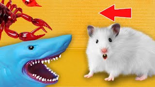 Hamster Escapes from Shark and Scorpion 🐹 Hamster Maze Compilation