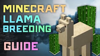 How to Tame and Breed Llamas in Minecraft: Complete Guide!