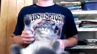 Video thumbnail of "Thy Art Is Murder - Whore To A Chainsaw (Death Metal Fat Cat Drum Cover)"