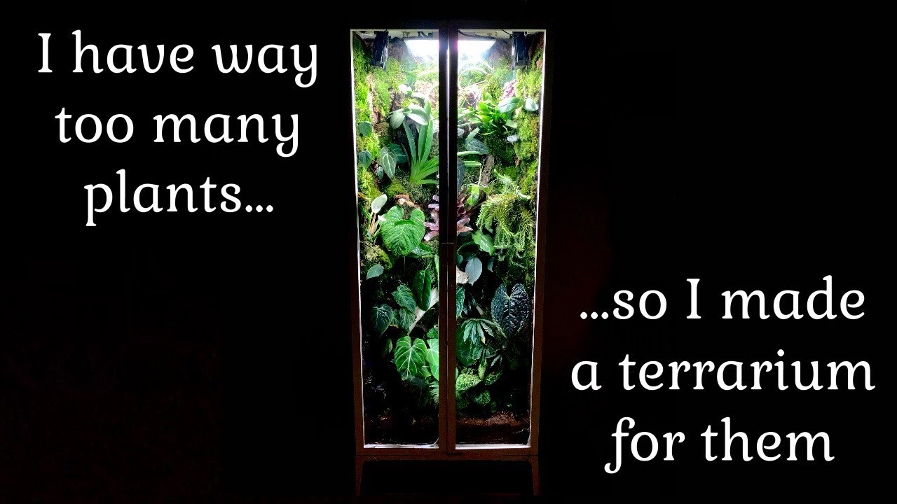 I Turned My IKEA Milsbo Into a Terrarium PART 1 Full