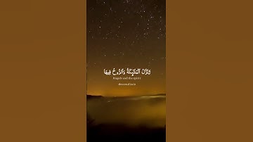 قراءة رائعة للمقرئ اليمني محمد الفقيه "سورة القدر"