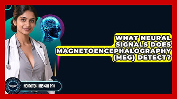 What Neural Signals Does Magnetoencephalography (MEG) Detect? - Neurotech Insight Pro