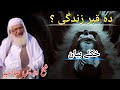 د قبر ژوند زړۀ لړزوونکی بیان شیخ ادریس صاحب