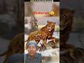ajibo garibe janver 😲😯 /#shortsfeed #factsmine #youtube
